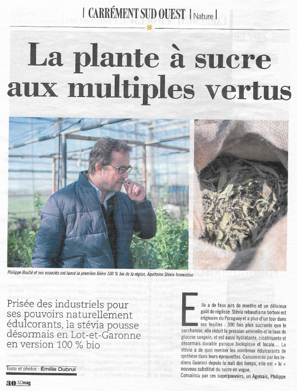 article carrement sud ouest